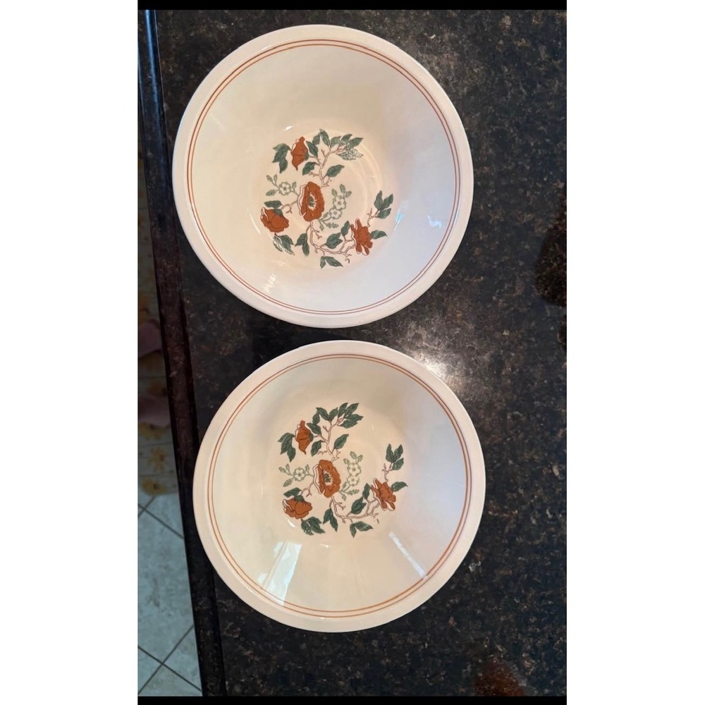 Mount Clemons Pottery 2 large soup bowls